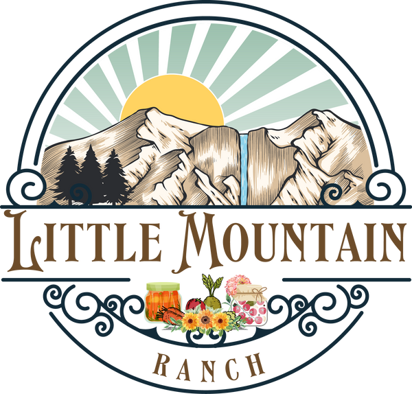 Little Mountain Ranch 